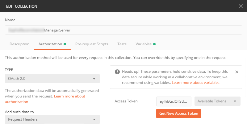 how to set up authorization parameters