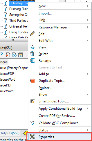 Topic Properties window